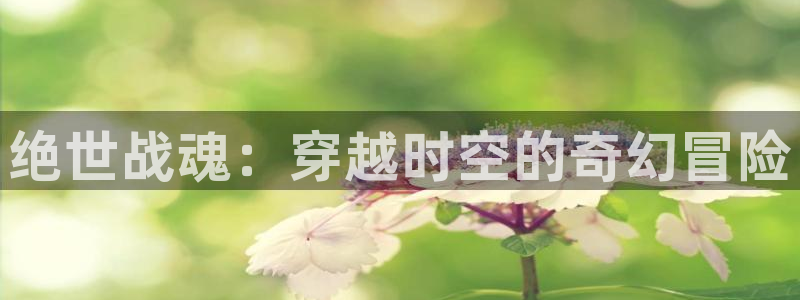 求漫蛙官网：绝世战魂：穿越时空的奇幻冒险