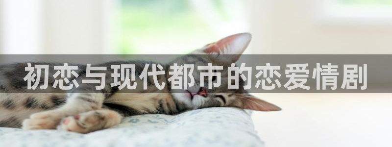 漫蛙登录账号：初恋与现代都市的恋爱情剧