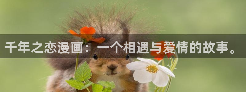 漫蛙韩漫官网入口：千年之恋漫画：一个相遇与爱情的故事。