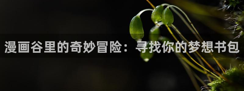 漫蛙视频：漫画谷里的奇妙冒险：寻找你的梦想书包