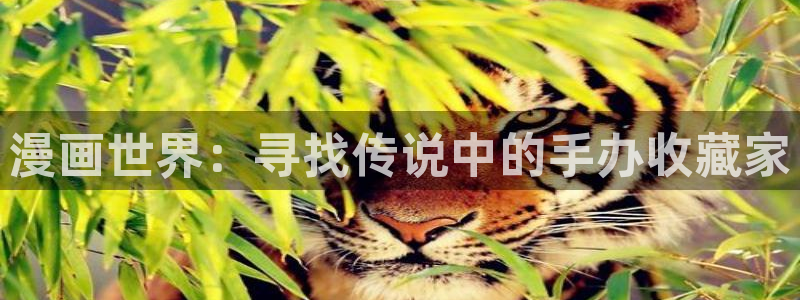 漫蛙破解版在线入口网址：漫画世界：寻找传说中的手办收藏家