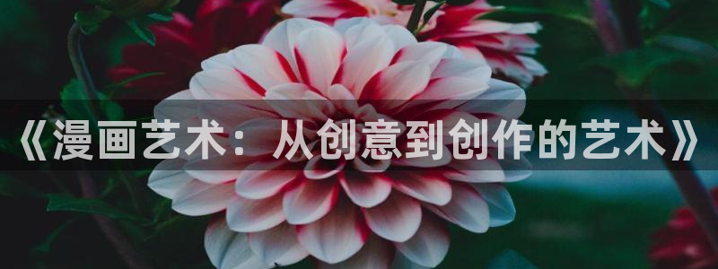 漫蛙纯净版：《漫画艺术：从创意到创作的艺术》