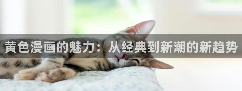 漫蛙漫画网站官网下载入口：黄色漫画的魅力：从经典到新潮的新趋势